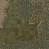 Asset preview